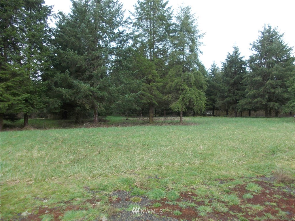 11543 School Land Road Southwest Rochester, WA 98579 - Photo 15 of 15