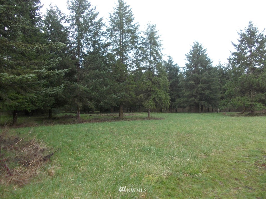 11543 School Land Road Southwest Rochester, WA 98579 - Photo 4 of 15