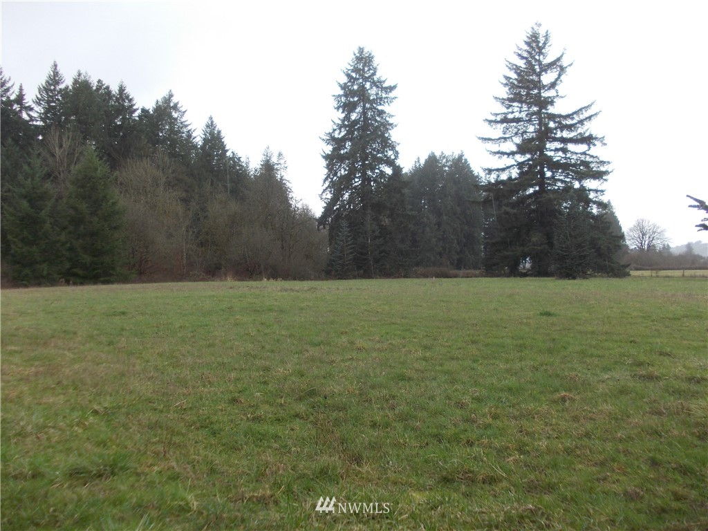 11543 School Land Road Southwest Rochester, WA 98579 - Photo 5 of 15