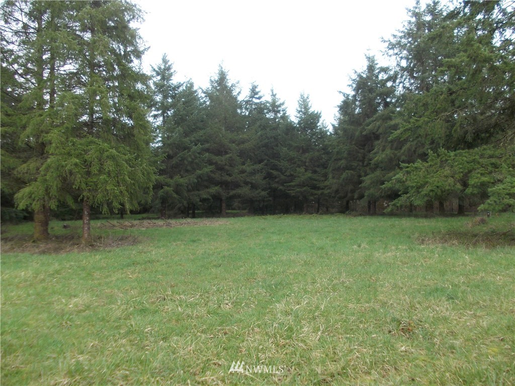 11543 School Land Road Southwest Rochester, WA 98579 - Photo 6 of 15