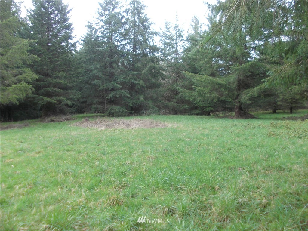 11543 School Land Road Southwest Rochester, WA 98579 - Photo 8 of 15