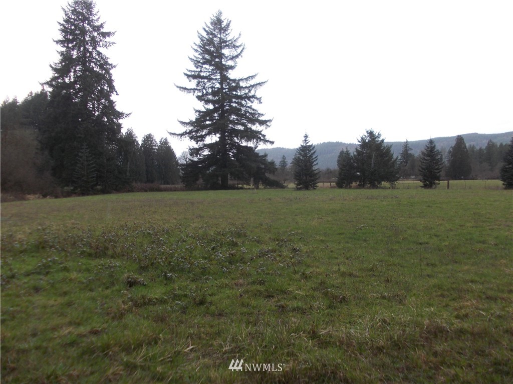 11543 School Land Road Southwest Rochester, WA 98579 - Photo 9 of 15