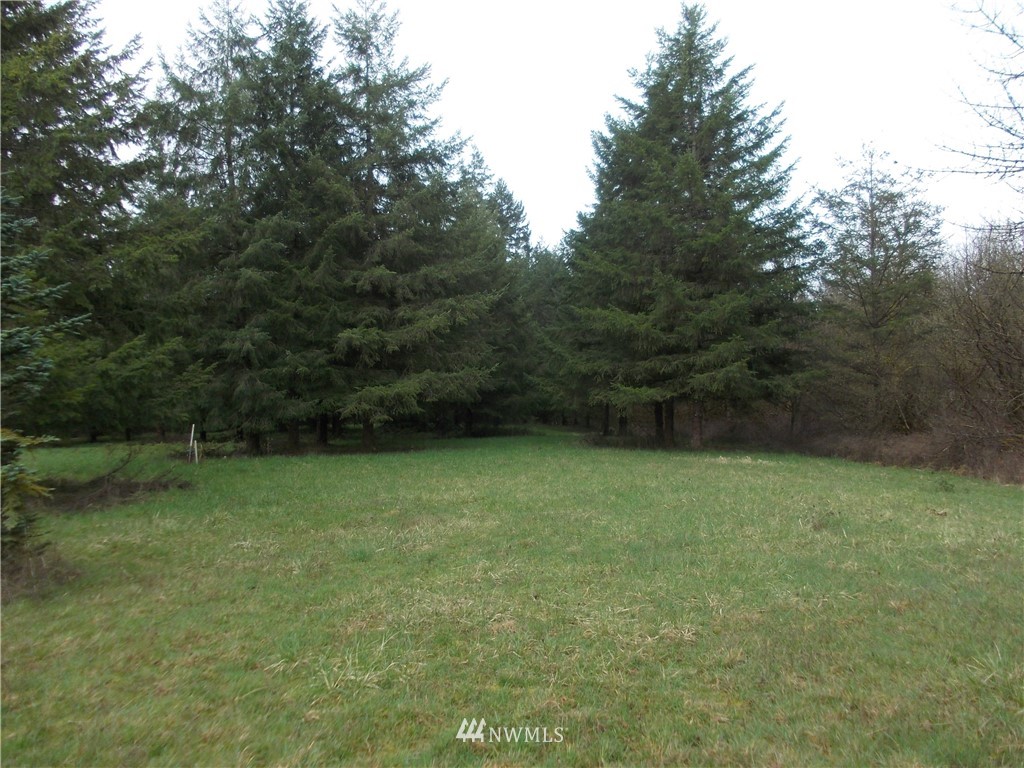 11543 School Land Road Southwest Rochester, WA 98579 - Photo 10 of 15