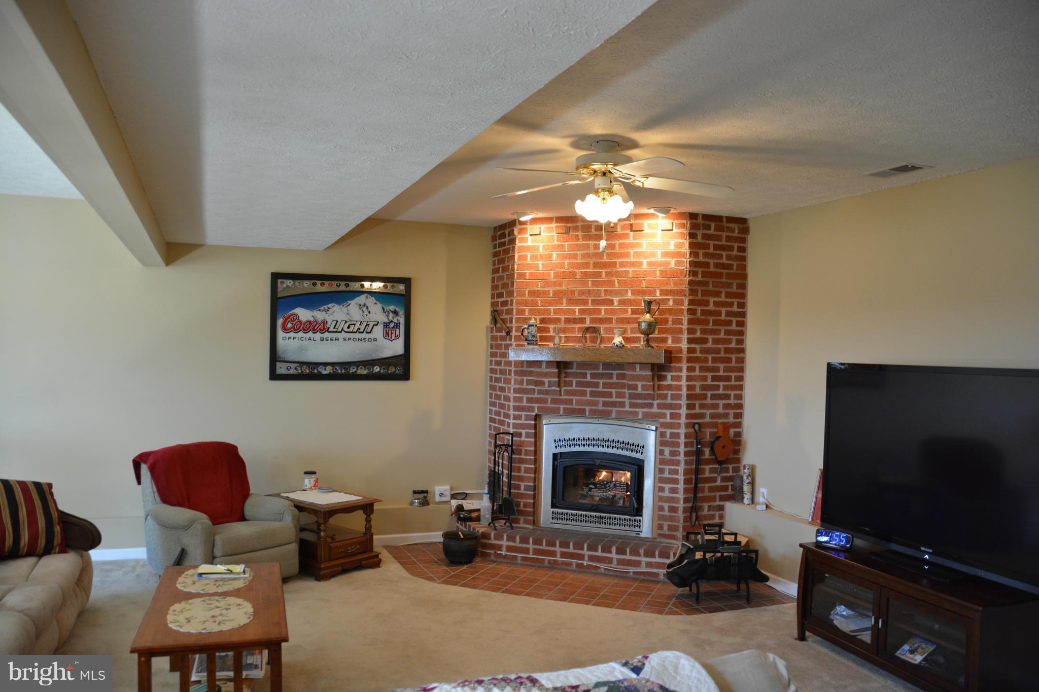 4341 Apple Pie Ridge Road Winchester, VA 22603 - Photo 11 of 30 Lower level, has corner fireplace w/woodst insert