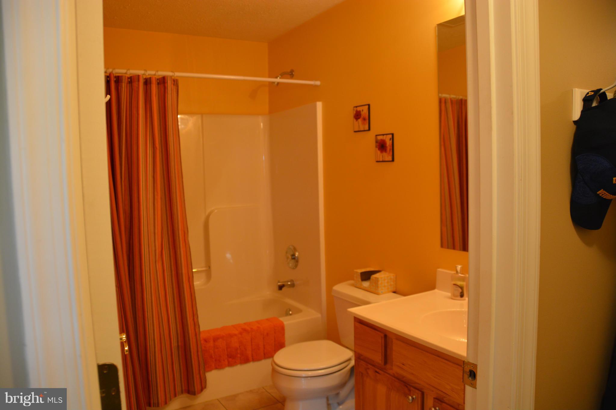 4341 Apple Pie Ridge Road Winchester, VA 22603 - Photo 13 of 30 Lower level