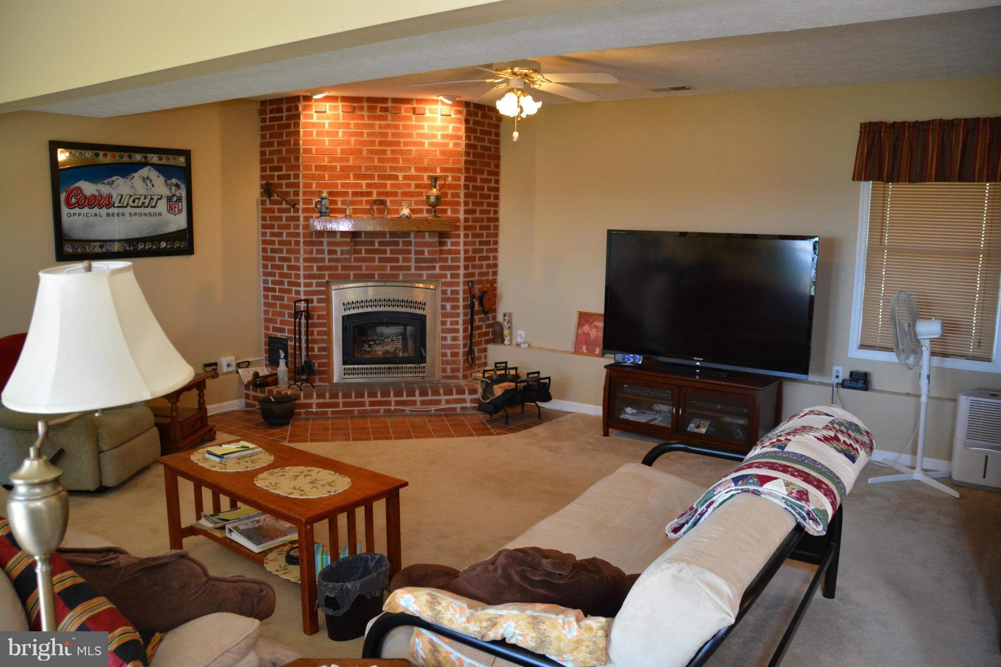 4341 Apple Pie Ridge Road Winchester, VA 22603 - Photo 19 of 30 Lower level Family Room