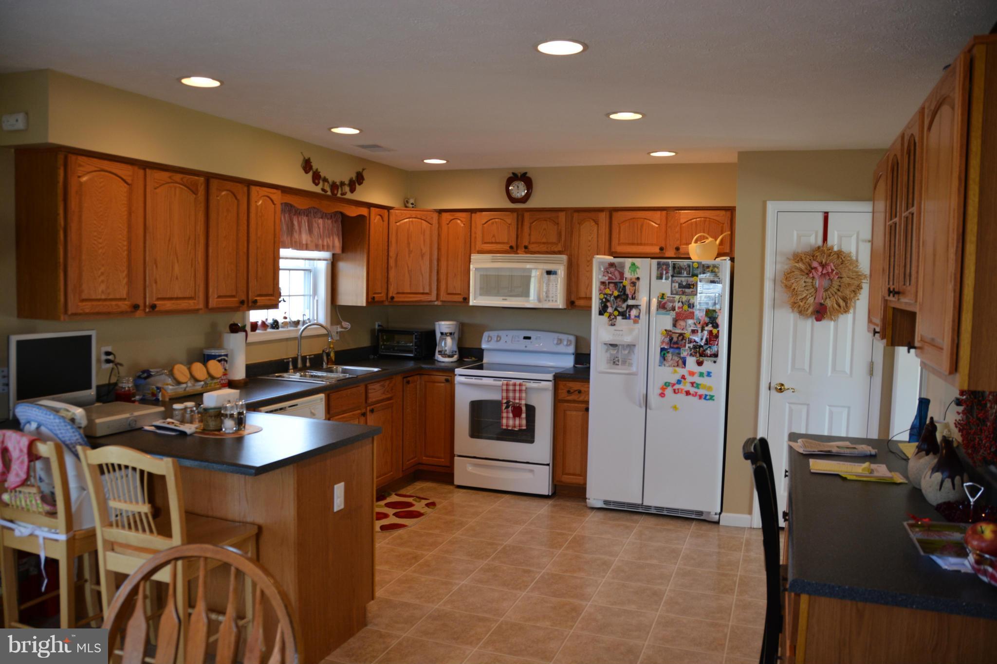 4341 Apple Pie Ridge Road Winchester, VA 22603 - Photo 20 of 30 Bright kitchen
