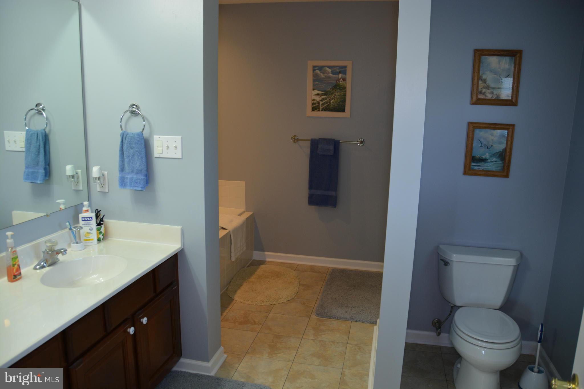 4341 Apple Pie Ridge Road Winchester, VA 22603 - Photo 25 of 30 Master bath, dual bowls, whirlpool tub