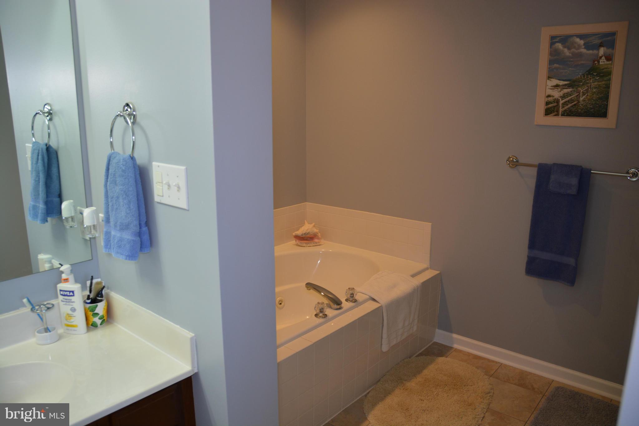 4341 Apple Pie Ridge Road Winchester, VA 22603 - Photo 26 of 30 Has large separate shower