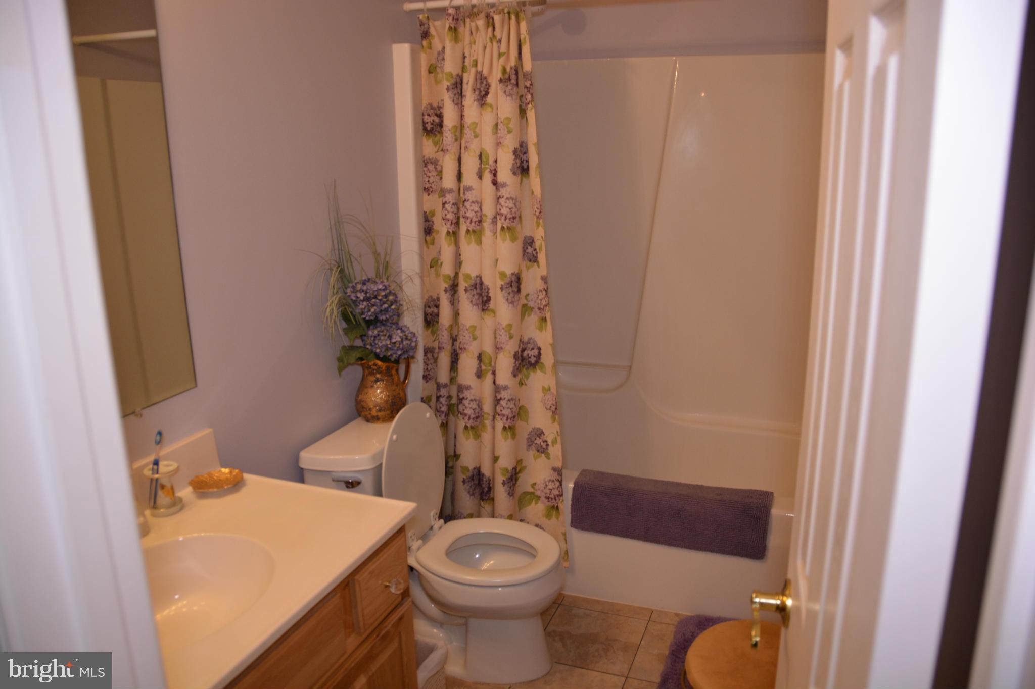 4341 Apple Pie Ridge Road Winchester, VA 22603 - Photo 28 of 30 Hall bath