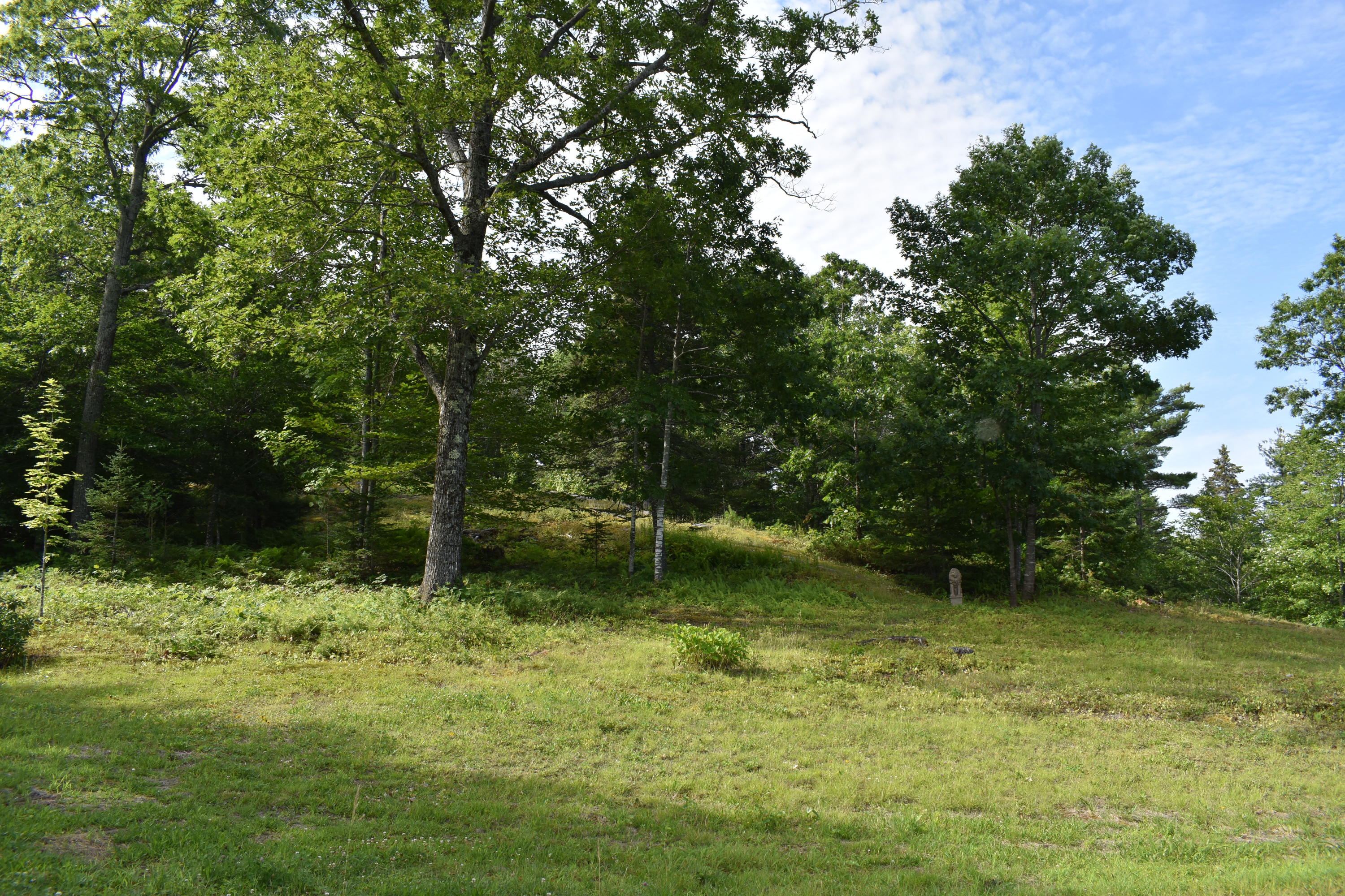 46 Trask Road Vienna, ME 04360 - Photo 60 of 65 DSC_0023