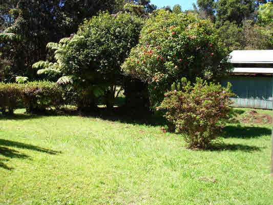 19-4277 Haunani Road Volcano, HI 96785 - Photo 5 of 22 a view of a garden with a bench