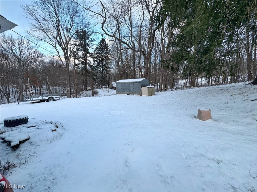 72117 Barton Road Bridgeport, OH 43912 - Photo 34 of 42 Yard layered in snow featuring a storage unit