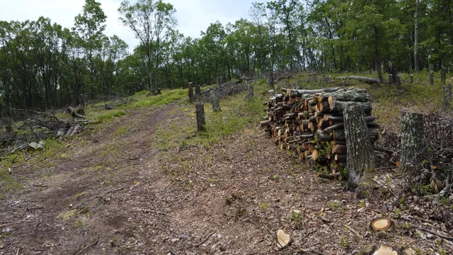 $49,900 | 102 Wilson Court, Saylorsburg, PA 18353