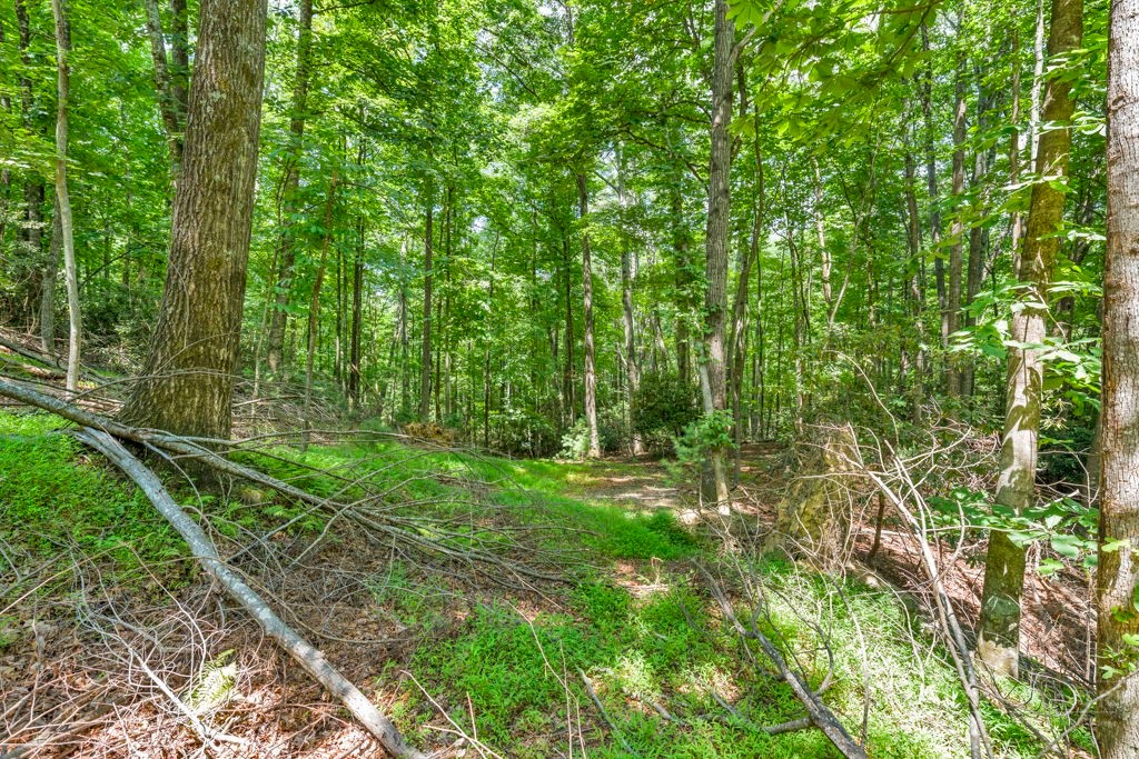 11-14 Powder Horn Mountain Road Deep Gap, NC 28618 - Photo 14 of 38