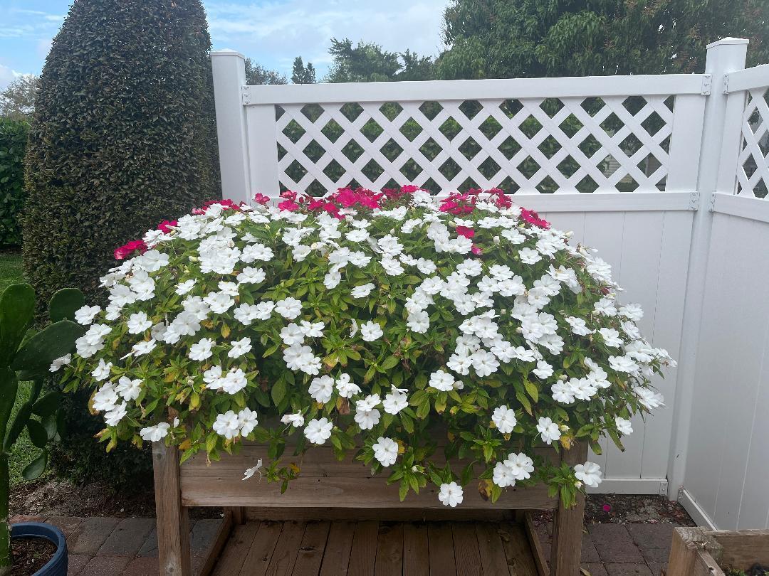 6985 Southeast Amendment Street Hobe Sound, FL 33455 - Photo 27 of 27 a flower garden view