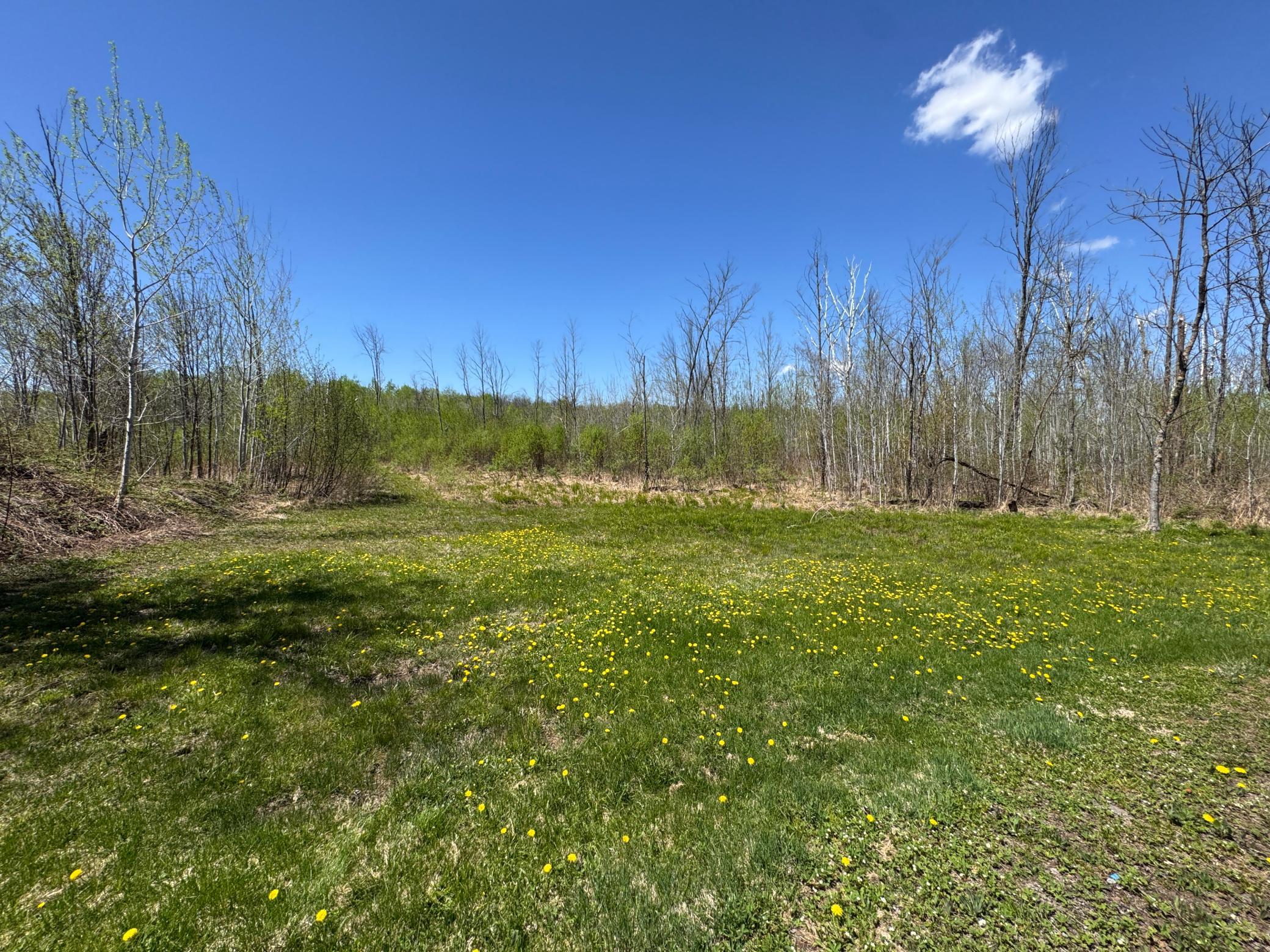 7233 Brown Road Kettle River, MN 55757 - Photo 11 of 20