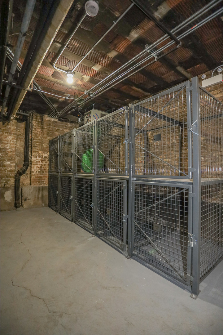 4411 North Hamilton Avenue, Unit 2W Chicago, IL 60618 - Photo 13 of 15 a view of storage and utility room