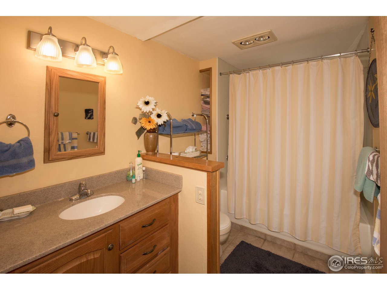 1473 Streamside Drive Drake, CO 80515 - Photo 12 of 24 a bathroom with a granite countertop sink and a mirror