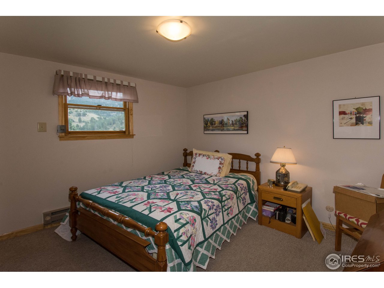 1473 Streamside Drive Drake, CO 80515 - Photo 13 of 24 a bedroom with a bed and a lamp on dresser