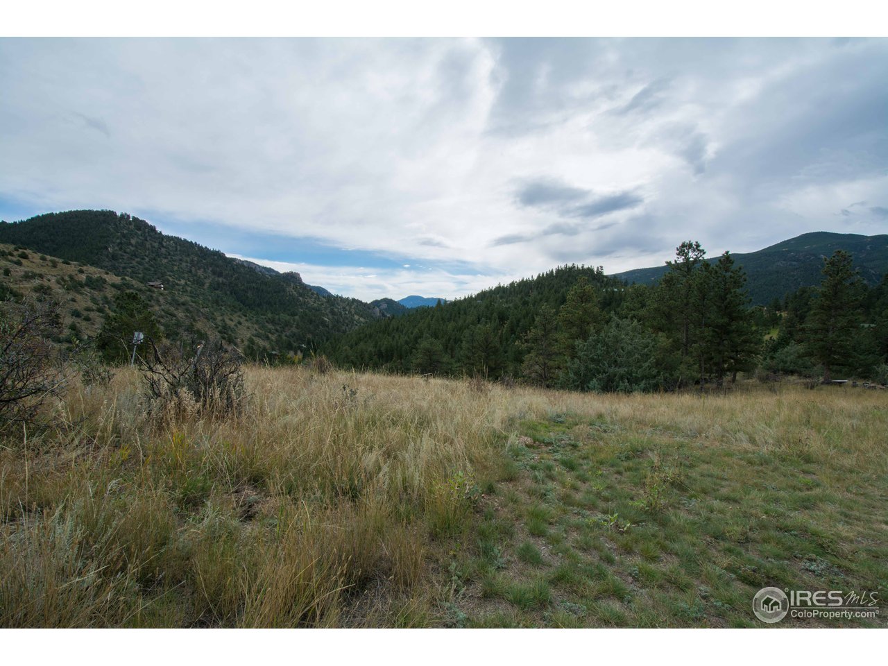 1473 Streamside Drive Drake, CO 80515 - Photo 16 of 24 a view of a lake and green valley