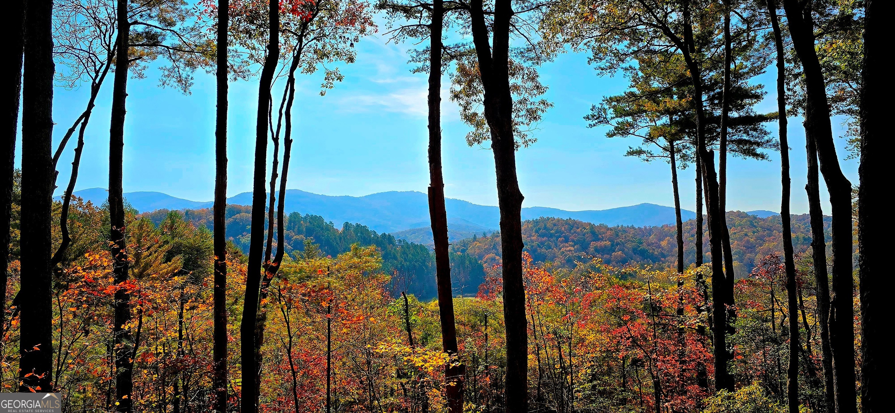Lot 3 Gold Ridge Trail Cherry Log, GA 30522 - Photo 11 of 16 a view of a city from a yard