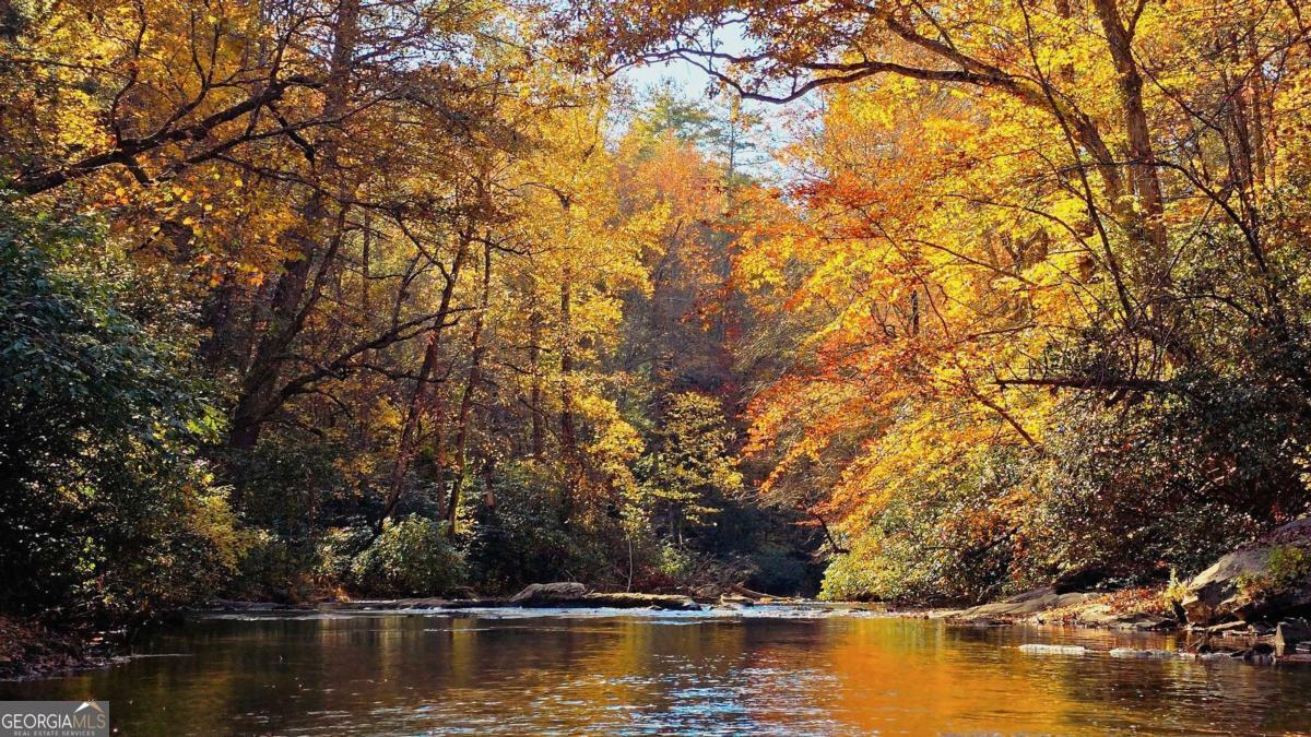Lot 3 Gold Ridge Trail Cherry Log, GA 30522 - Photo 14 of 18