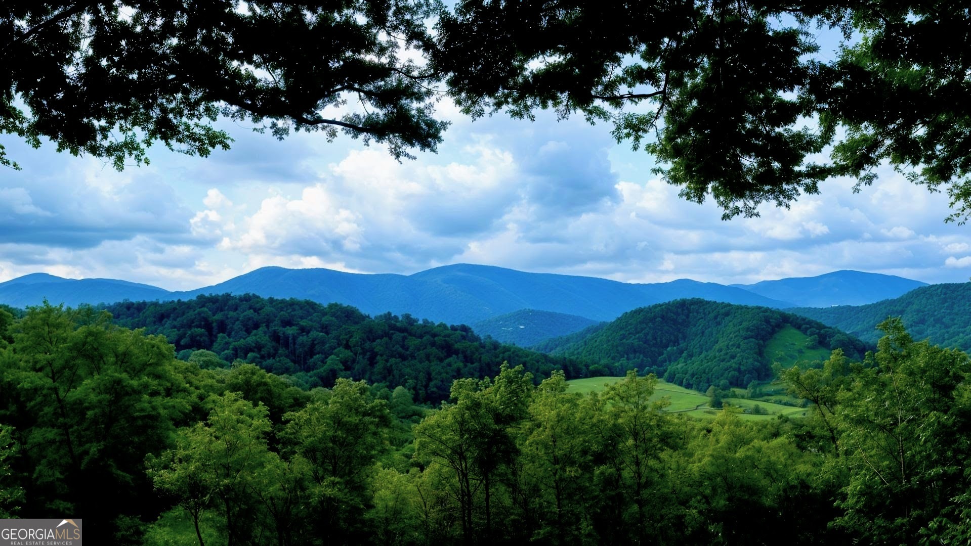 Lot 3 Gold Ridge Trail Cherry Log, GA 30522 - Photo 16 of 16 a view of a bunch of trees in a field