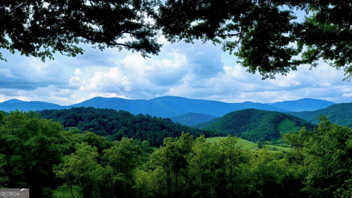 Lot 3 Gold Ridge Trail Cherry Log, GA 30522 - Photo 18 of 18