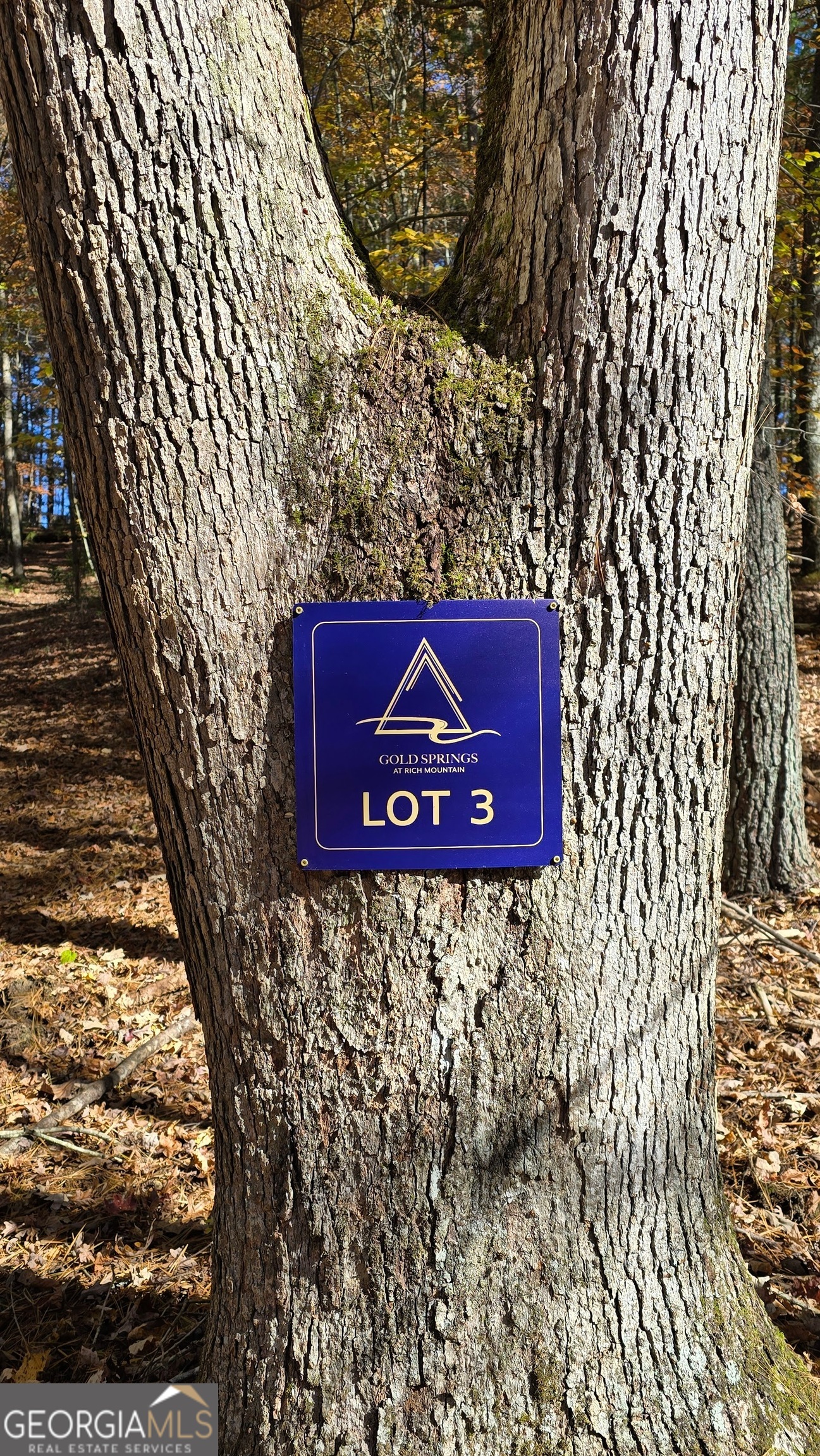 Lot 3 Gold Ridge Trail Cherry Log, GA 30522 - Photo 2 of 16 a sign board with a small yard