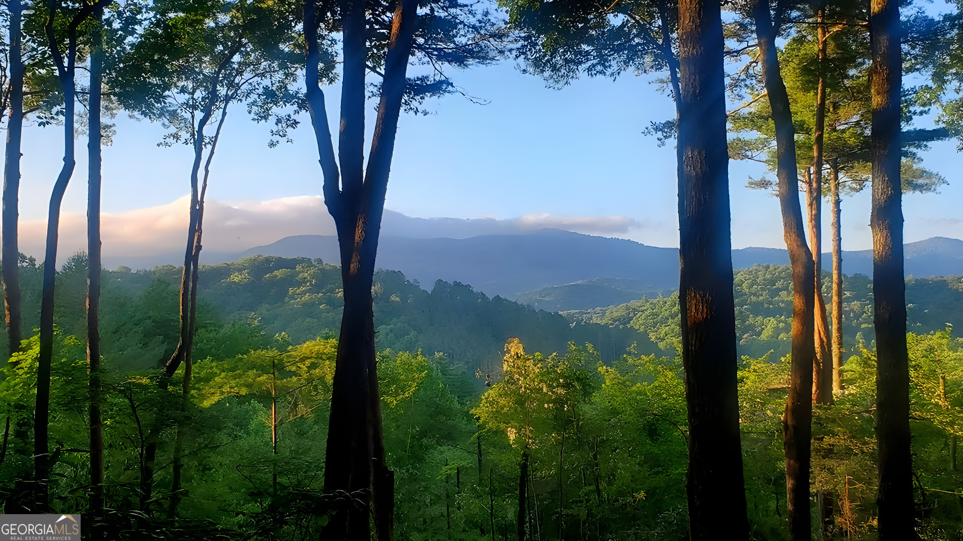 Lot 3 Gold Ridge Trail Cherry Log, GA 30522 - Photo 3 of 16 a view of lake from a balcony
