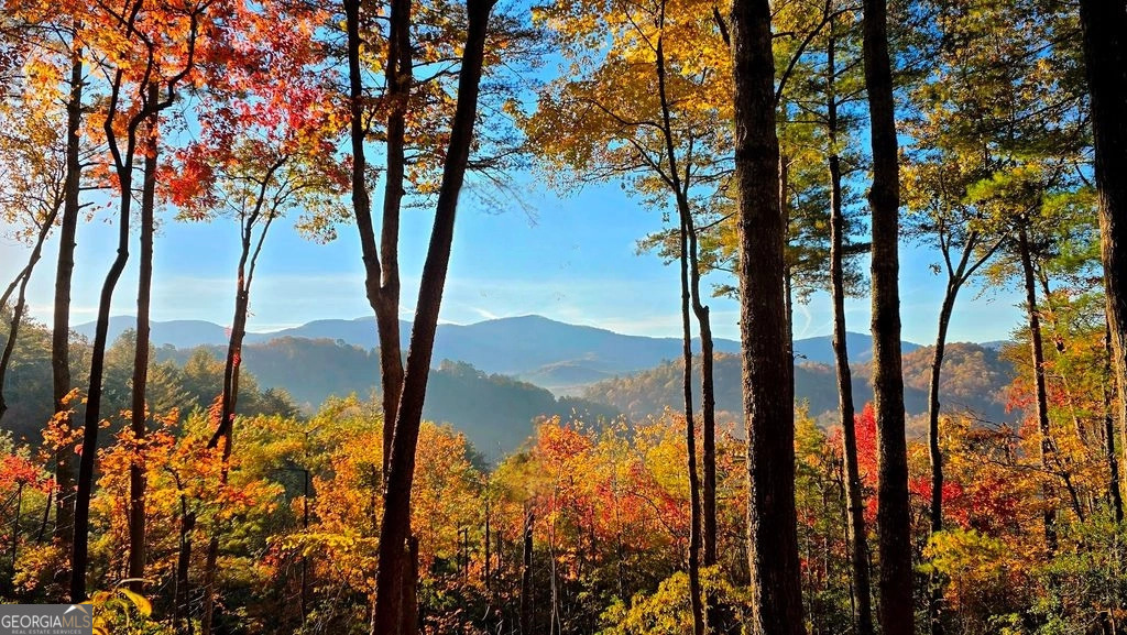 Lot 3 Gold Ridge Trail Cherry Log, GA 30522 - Photo 4 of 16 a view of lake from next to trees