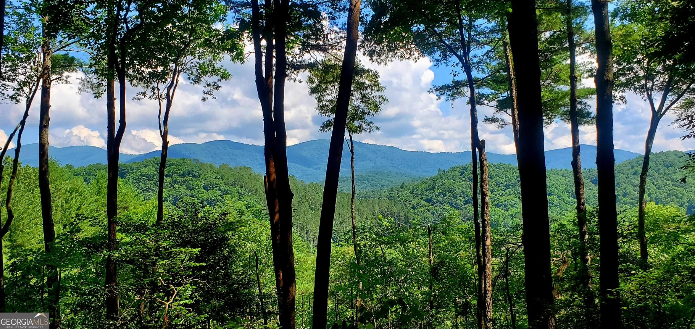 Lot 3 Gold Ridge Trail Cherry Log, GA 30522 - Photo 7 of 16 a view of lake from balcony