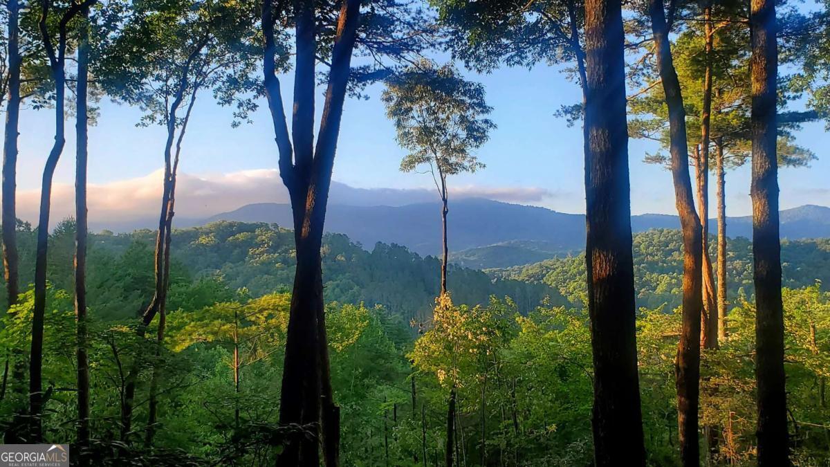 Lot 3 Gold Ridge Trail Cherry Log, GA 30522 - Photo 7 of 18