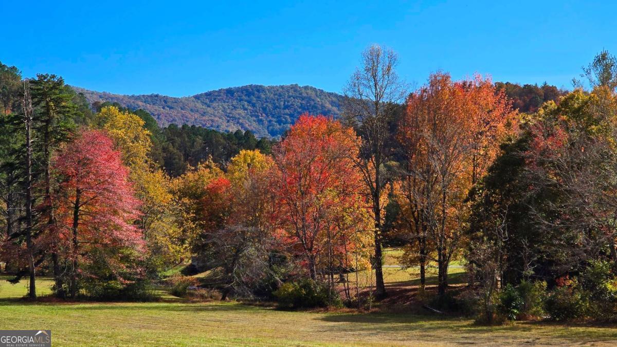 Lot 3 Gold Ridge Trail Cherry Log, GA 30522 - Photo 8 of 18