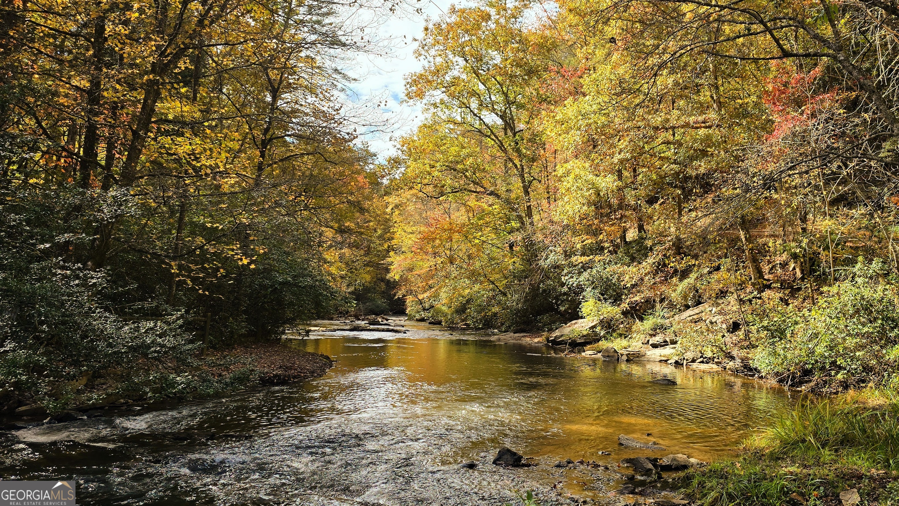 Lot 3 Gold Ridge Trail Cherry Log, GA 30522 - Photo 9 of 16 a view of lake