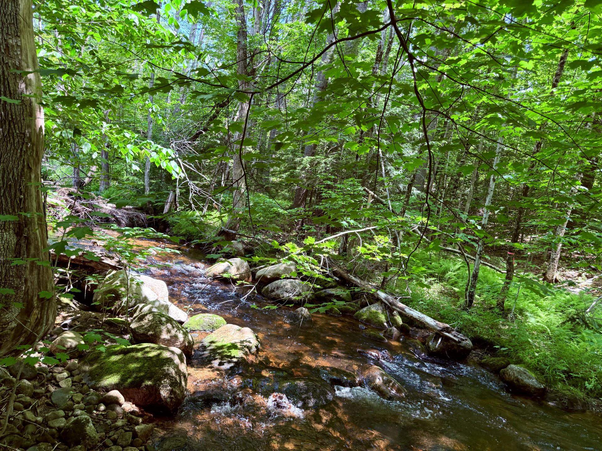 2160 Village Road Madison, NH 03849 - Photo 13 of 56