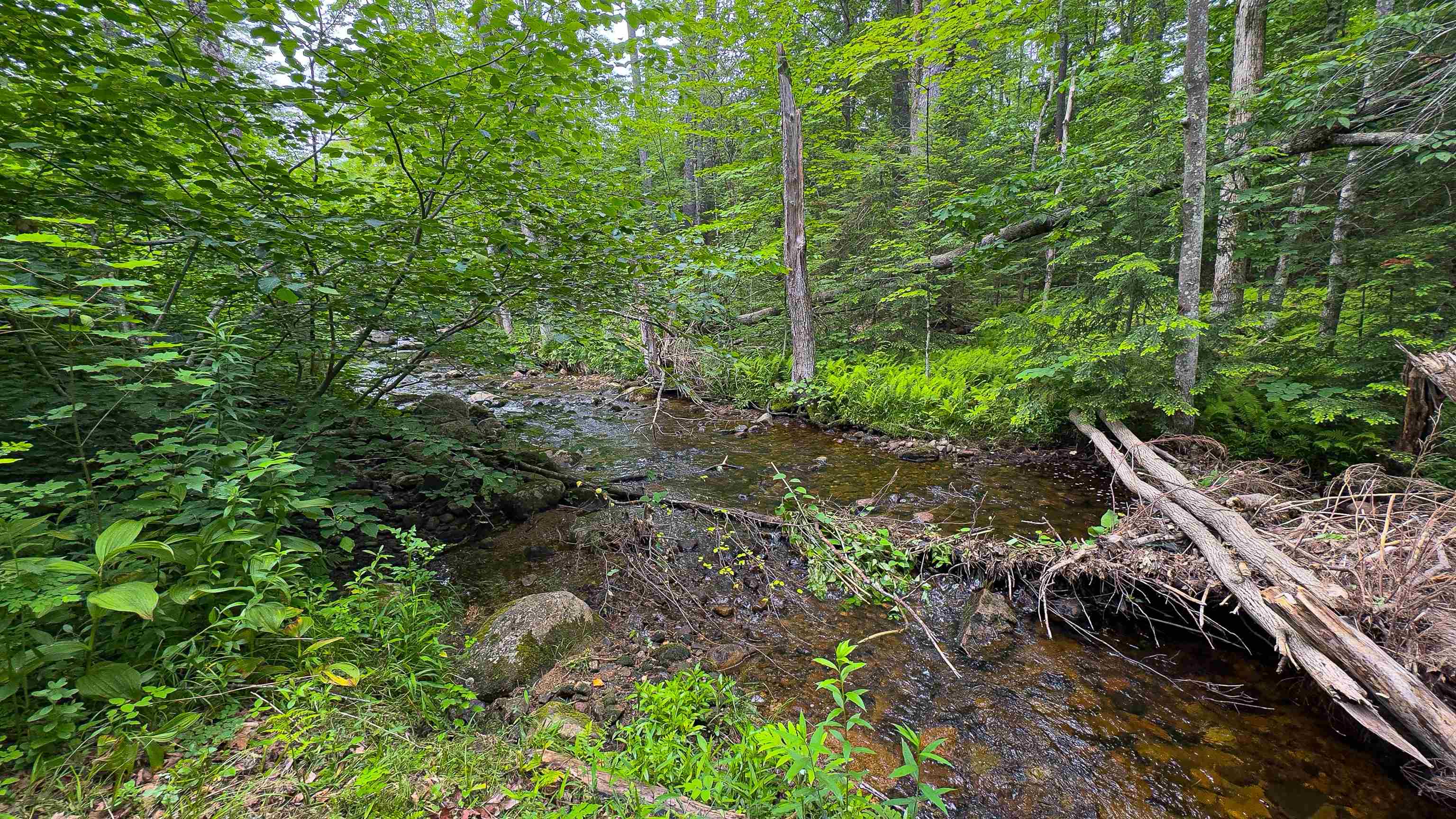 2160 Village Road Madison, NH 03849 - Photo 51 of 56