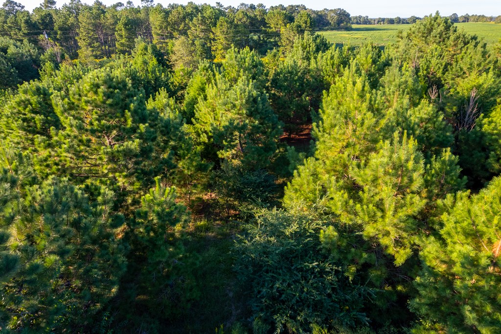 2226 Randall Wade Road Headland, AL 36345 - Photo 33 of 60