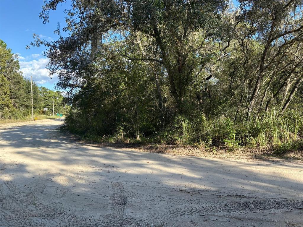 2909 Eastwood Street Inverness, FL 34452 - Photo 3 of 4 a view of road with yard