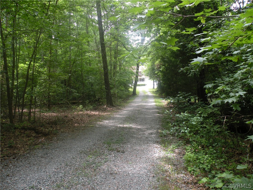 12436 Walkes Quarter Road Chesterfield, VA 23838 - Photo 4 of 31 a view of a forest with trees in the background