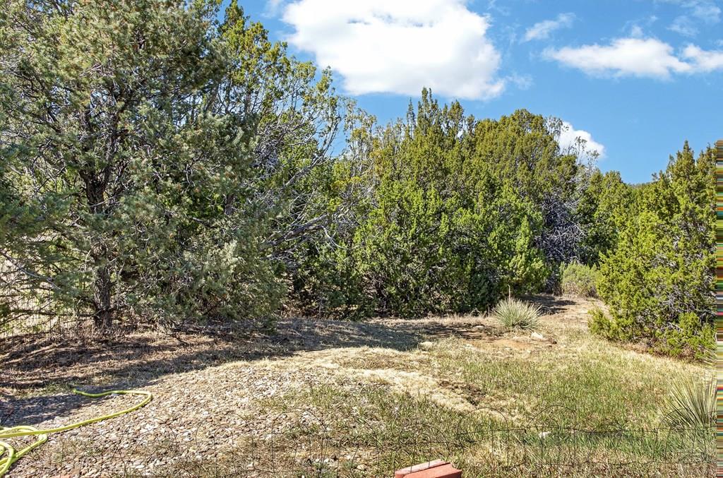 415 Riata Drive Trinidad, CO 81082 - Photo 50 of 61 a view of a yard with trees