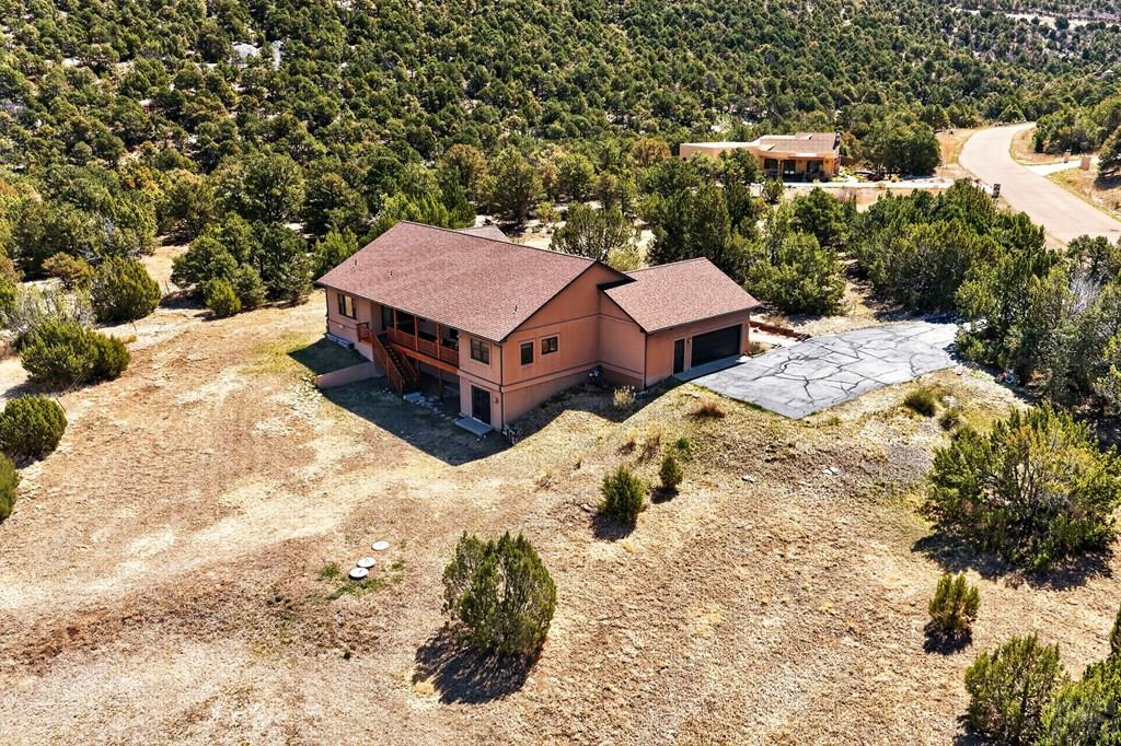 415 Riata Drive Trinidad, CO 81082 - Photo 54 of 61 a view of a backyard with a barbeque and large trees