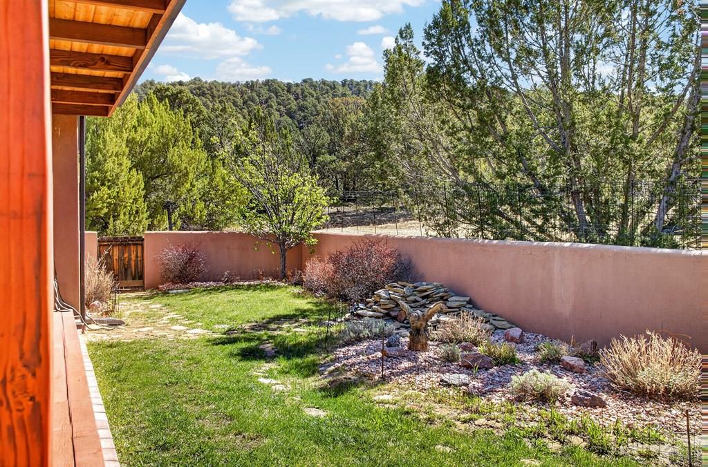 415 Riata Drive Trinidad, CO 81082 - Photo 9 of 61 a backyard of a house with lots of green space