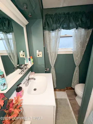 a bathroom with a sink a toilet a mirror and vanity