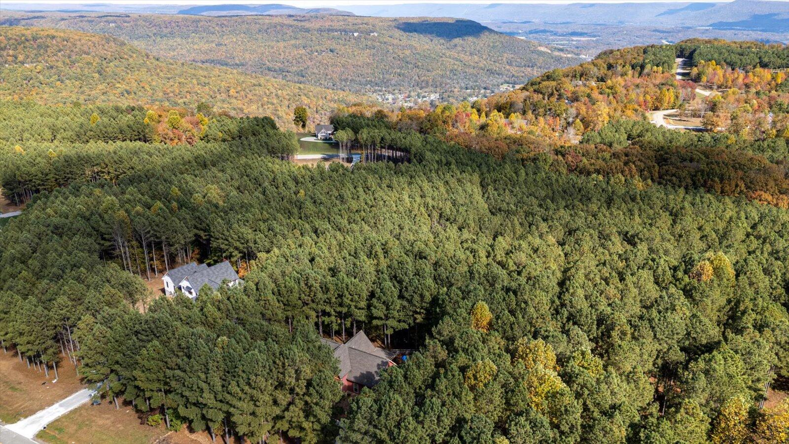 316 Compass Drive Jasper, TN 37347 - Photo 51 of 52 51-316 Compass Dr-46