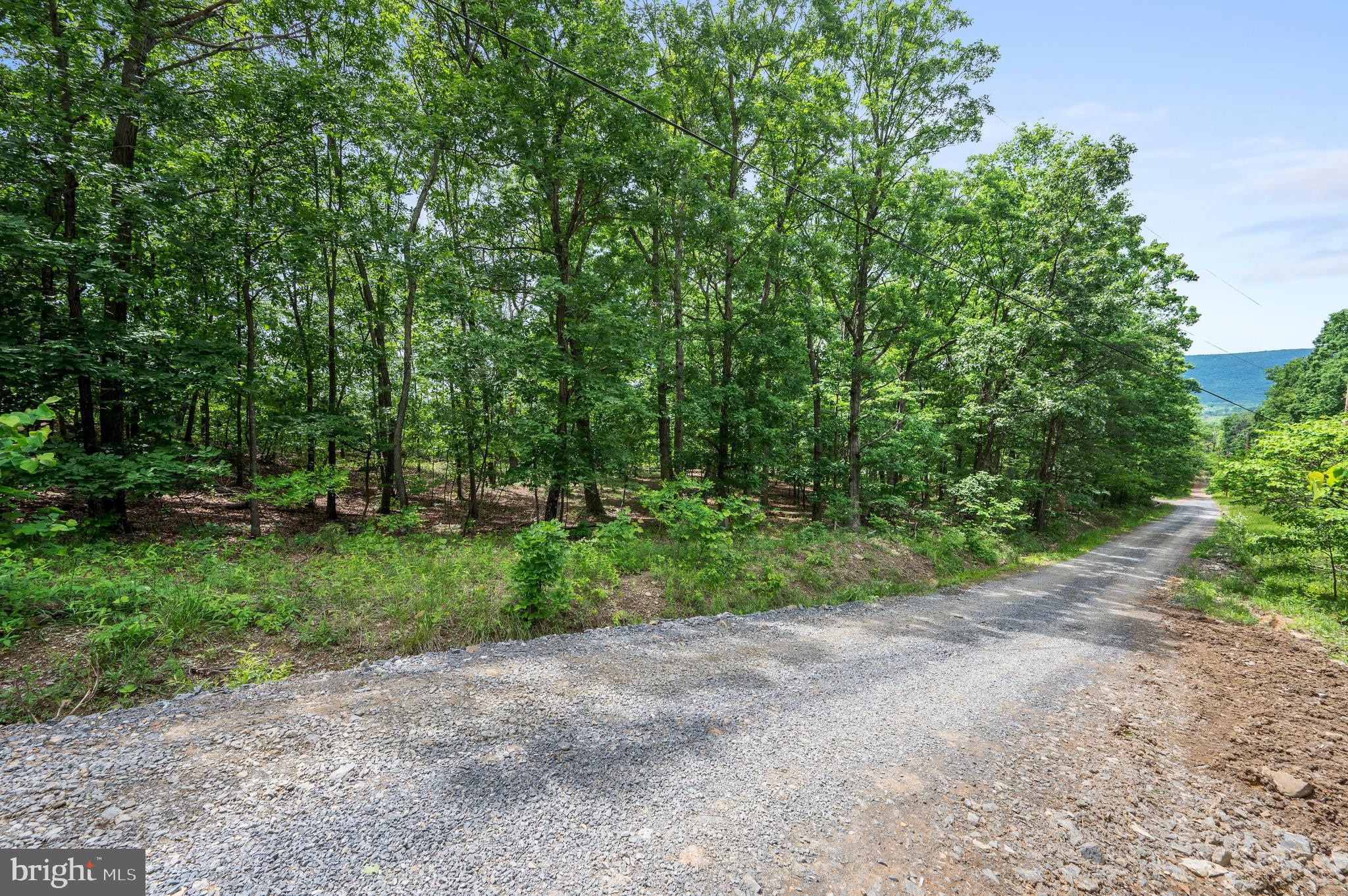 4-5 Glen Ridge Road Winchester, VA 22602 - Photo 2 of 10 a view of a forest with trees in the background