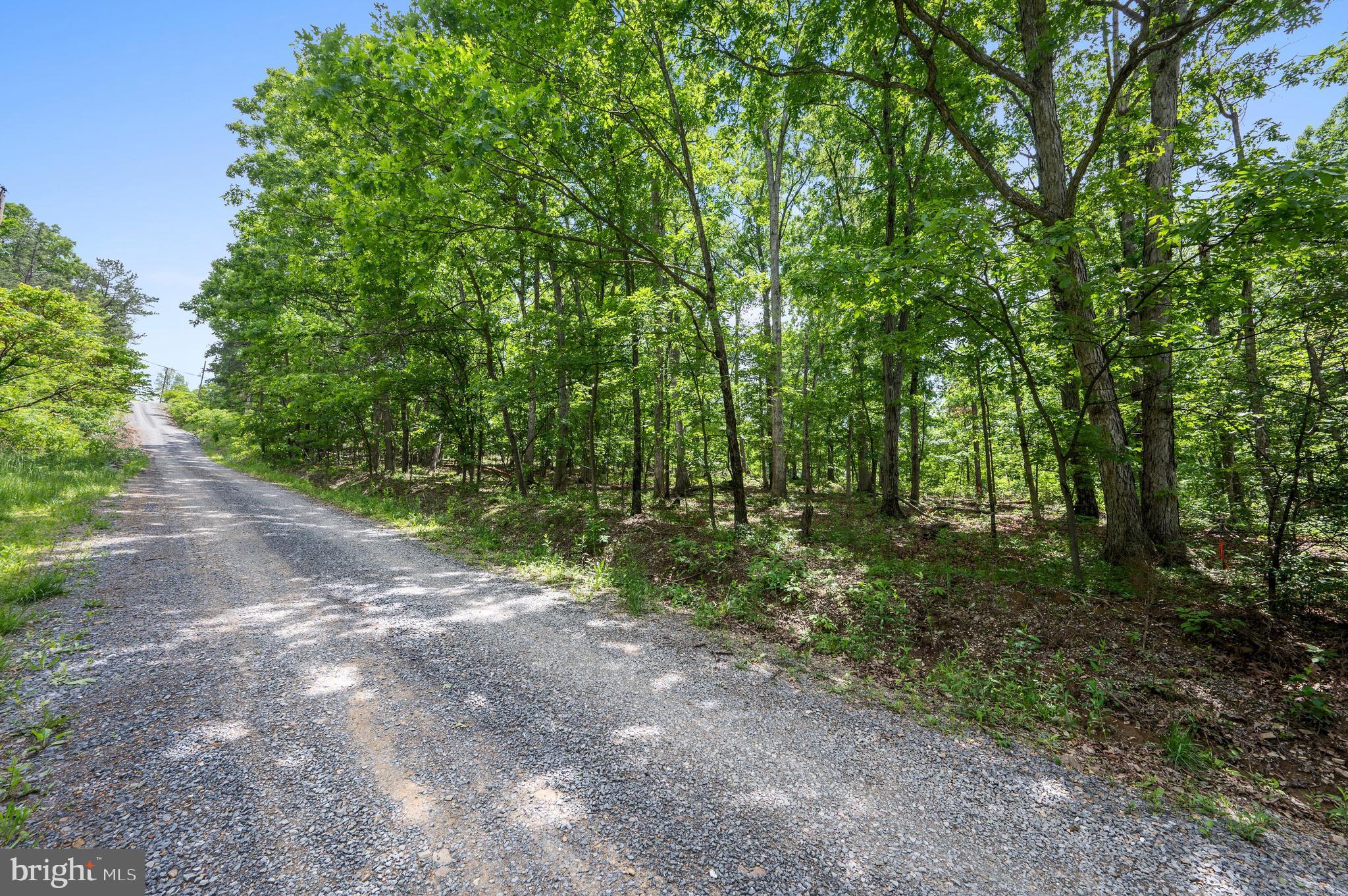 4-5 Glen Ridge Road Winchester, VA 22602 - Photo 4 of 10 a view of outdoor space and trees