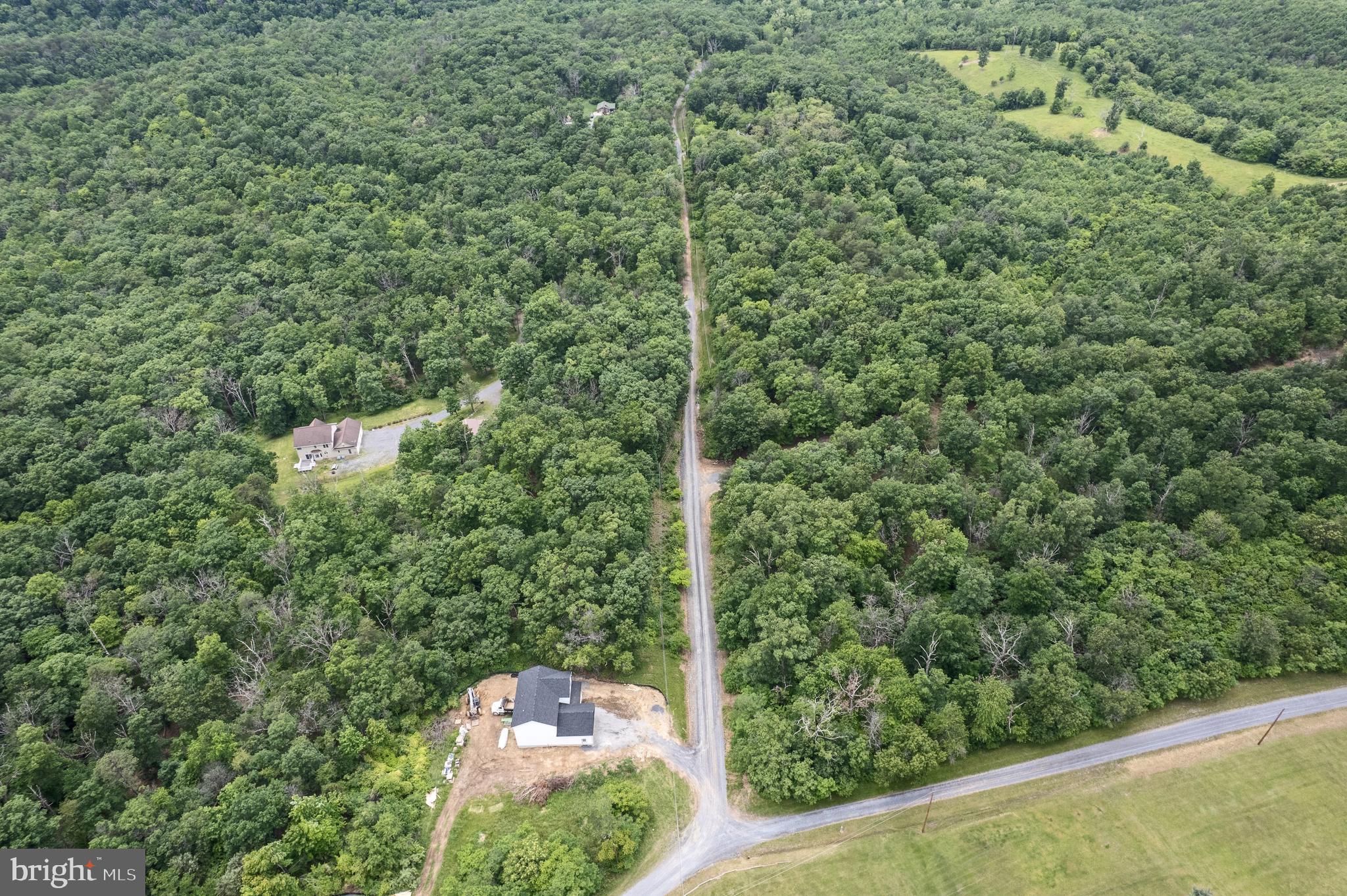 4-5 Glen Ridge Road Winchester, VA 22602 - Photo 5 of 10 a view of a forest from a window