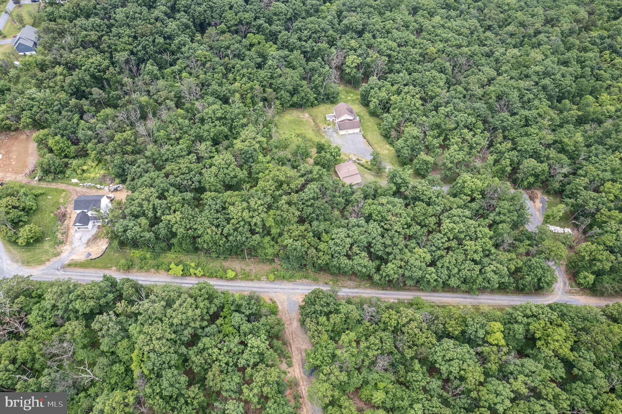 4-5 Glen Ridge Road Winchester, VA 22602 - Photo 6 of 10 a view of a tree with a yard